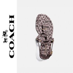 Coach Jeri Animal Print T-Strap Design Sandals - 6.5